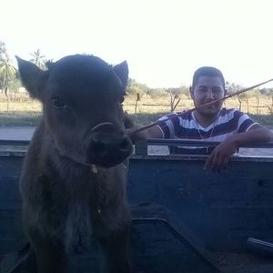 Meet your Posher, Gabriel